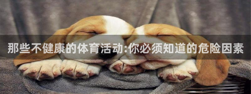 搜球体育下载