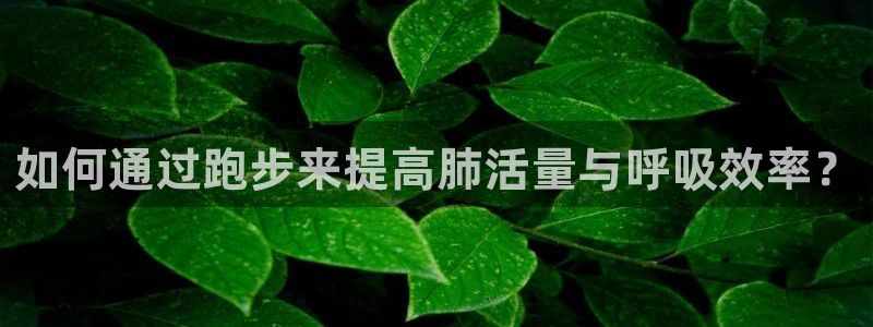 搜球体育在线观看