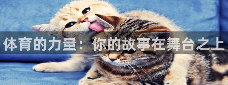 搜球体育在线观看：体育的力量：你的故事在舞台之上