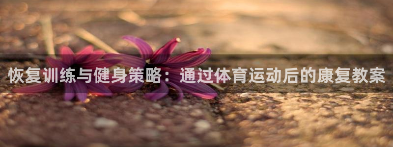 搜球体育辛纳：恢复训练与健身策略：通过体育运动后的康复教案