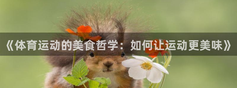 搜球体育官网网址
