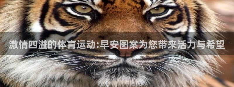 搜球体育辛纳