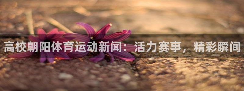 搜球体育平台