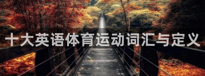 搜球体育app下载