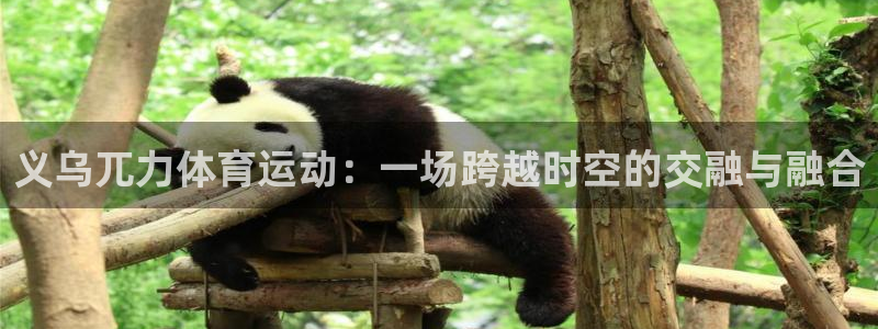 搜球体育nba历史得分榜最新