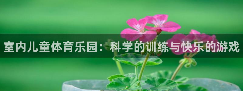 关键词：室内儿童体育乐园：科学的训练与快乐的游戏